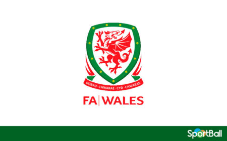 Jugadores de la Selección de Gales